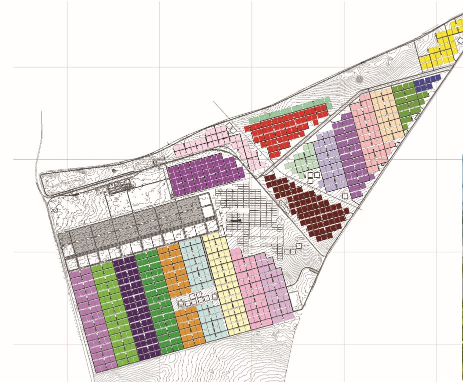Project Management & Studies